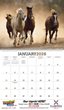 2026 Promotional Calendars