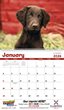 2026 Promotional Calendars
