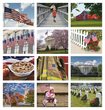 2026 Promotional Calendars