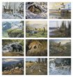 Wildlife Promotional Calendar 2026 months
