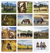 Vision of the West Promotional Calendar