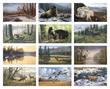 Wildlife Art Promotional Calendar 2023