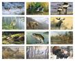Wildlife Art by the Hautman Brothers Promotional Calendar 2023