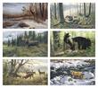 Wildlife Art Promotional Calendar 2023
