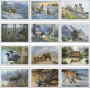 Wildlife Art Pocket Promotional Calendar 2023