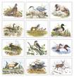 Wildlife Trek Art Calendar