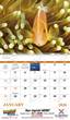 2026 Promotional Calendars