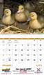 2026 Promotional Calendar baby farm animals open view