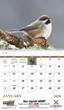 Birds of North America Promo Calendar, Item # 7036 open view image