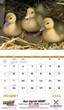 Promotional Calendar of baby farm animals open view