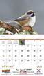 Birds of North America Promo Calendar, Item # 7236 open view image