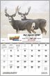 2023 Promotional Calendars