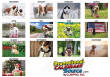 2026 Promotional Calendars