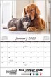 Cats & Dogs Wall Calendar 2026 - Stapled
