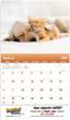 2026 Promotional calendar Puppies & Kittens, Stapled, Item BC-210 open view