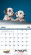 2026 Promotional calendar Puppies & Kittens, Item BC-210 open view