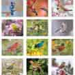 2026 Promotional Calendars