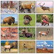 2026 Promotional Wall Calendars