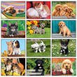 2026 Promotional Wall Calendars