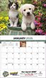 2026 Promotional Calendars