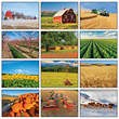 2026 Promotional Calendars