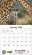 2026 Promotional Calendars