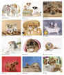 2023 Promotional wall calendar