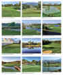 2023 Promotional wall calendar