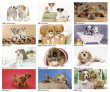 2023 Promotional wall calendar
