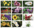 2023 Promotional wall calendar