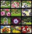 Flowers and Gardens Calendar Stapled 2023