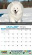 America the Beautiful Calendar 2023