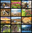 Planet  Earth Environmental Calendar 2023