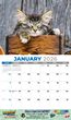 Kittens Calendar 2023