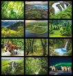 Go Green Environmental Calendar 2023