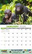 International Wildlife Calendar Stapled 2023