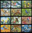 Garden Birds Calendar 2023