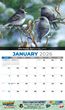 Garden Birds Calendar 2023