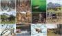 Larry Anderson Wildlife 2023 Wall Calendar Item # TA-1950 monthly images view