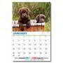 Custom Calendar 2026